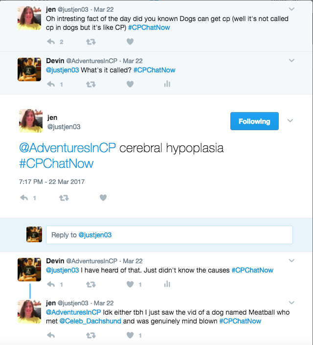 The group discussing Cerebral Hypoplasia, CP in dogs