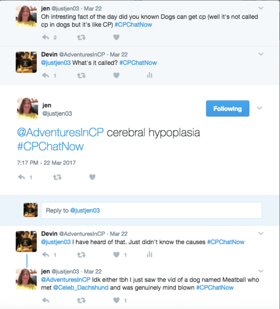 The group discussing Cerebral Hypoplasia, CP in dogs